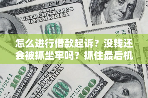 武汉怎么进行借款起诉？没钱还会被抓坐牢吗？抓住最后机会！