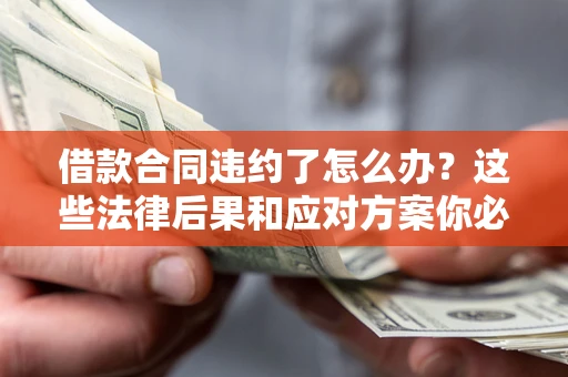 武汉借款合同违约了怎么办？这些法律后果和应对方案你必须知道
