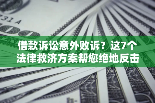 武汉借款诉讼意外败诉？这7个法律救济方案帮您绝地反击！