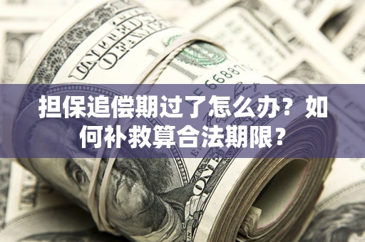武汉担保追偿期过了怎么办？如何补救算合法期限？