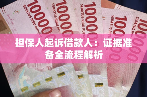 武汉担保人起诉借款人：证据准备全流程解析