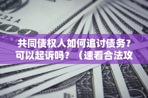 武汉共同债权人如何追讨债务？可以起诉吗？（速看合法攻略）