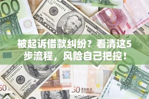 武汉被起诉借款纠纷？看清这5步流程，风险自己把控！