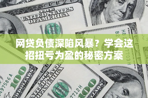 武汉网贷负债深陷风暴？学会这招扭亏为盈的秘密方案